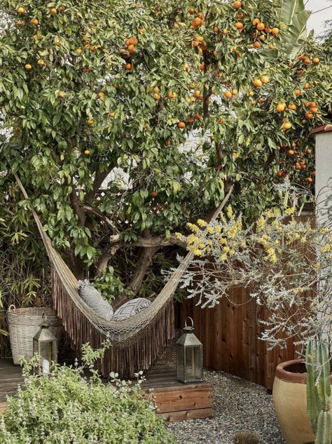 a quiet corner of the garden is perfect for a hammock, a few potted plants and easy-care gravel base. Quiet Corner, Sense Of Place, Apple Tree, Be Perfect, Hammock, Potted Plants, Exterior, Plants