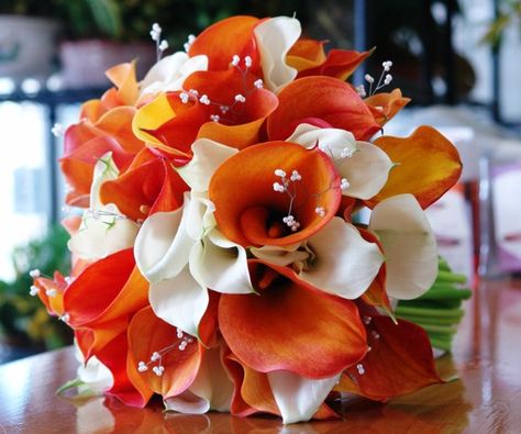 These would be really cute for the bridesmaids. (having enough white should keep it from looking like Halloween!) Bridal Bouquet Calla Lillies, Orange Bridal Bouquet, Calla Lily Wedding, Orange Wedding Flowers, Calla Lily Bouquet, Flowers Orange, Lily Bouquet, Fall Wedding Bouquets, Orange Wedding