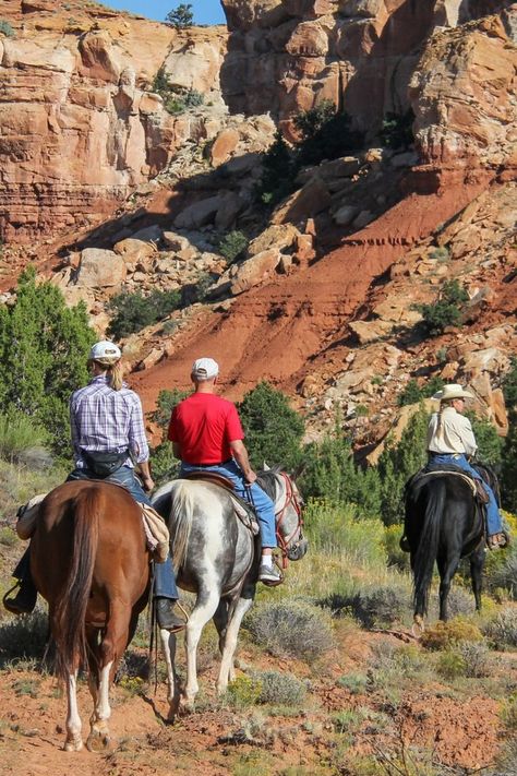 Explore Utah's beauty with horseback riding in Capitol Reef. Perfect for all skill levels, ride through red rocks, canyons, and green meadows year-round. Summer offers vibrant deserts and wildflowers; winter brings snowy mountain views. Enjoy safe, fun adventures with top outfitters and create lasting memories. Check our website to learn more- www.utahguide.com/things_to_do_in_utah/horseback-riding #UtahAdventures #HorsebackRiding #CapitolReef #OutdoorActivities #ExploreUtah #RidingUtah Vision Board Design, Utah Adventures, Fun Adventures, Capitol Reef, Snowy Mountain, Red Rocks, Snowy Mountains, Red Rock, Amazing Adventures