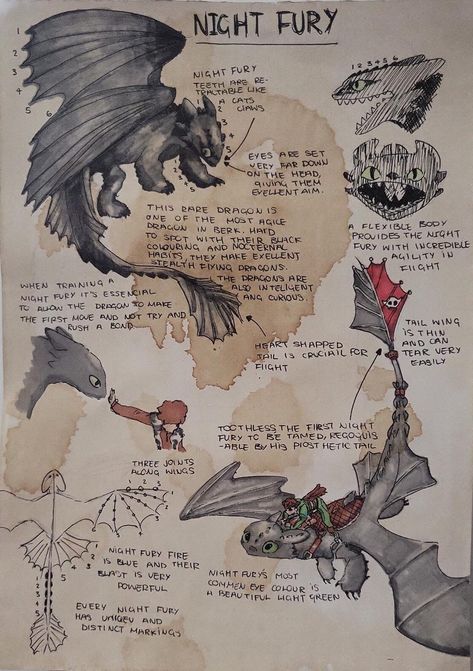 Aesthetic Journaling Ideas, Avatarul Aang, Aesthetic Journaling, Creaturi Mitice, Train Dragon, Httyd Art, Dragon Sketch, Httyd Dragons, Výtvarné Reference