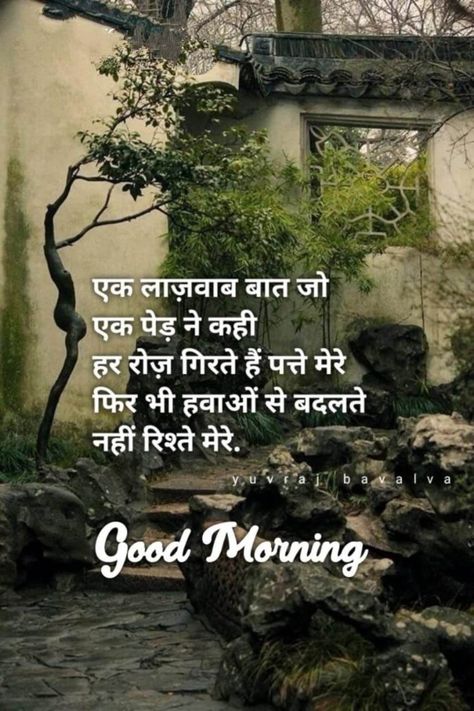 Suvichar In Hindi Life, Good Morning Shayari Hindi, Good Morning Hindi Messages, Good Morning Shayari, Morning Shayari, Suvichar In Hindi, Morning Video, Good Morning Quotes For Him, Good Morning Happy Friday