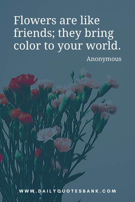 Read inspirational flower quotes. Also check beautiful flower quotes about love, life, wisdom, friend, family, dead, garden, dream, sadness, funny and philosophy.flower quotes tumblr, cute love flower quotes, flower quotes pinterest, daisy flower quotes, flowers quotes for her, delicate flower quotes, flower garden quotes, quotes about flowers blooming, flower sayings, red flower quotes, caption for flowers photo, caption for flower photography. #dailyquotesbank #flowerquotes #gardenquotes Spring Quotes Flowers, Inspirational Flower Quotes, Quotes About Flowers Blooming, Bachelorette Quotes, Quotes Related To Life, Flower Quotes Inspirational, Beautiful Flower Quotes, Bloom Quotes, Floral Quotes