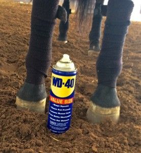 Top Ten Easy and Simple Horse Show Life Hacks - lots of great ideas! Horse Hacks, Barn Hacks, Horse Showing, Equine Care, Horse Information, Diy Horse, Horse Care Tips, Horse Info, Horse Ideas