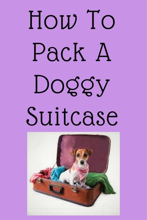 Packing Quotes, Dogs Quotes, Dog Travel Accessories, Pack A Suitcase, Vacation Essentials, Holiday Packing, Group Of Dogs, Dog Quotes Funny, Dog Books