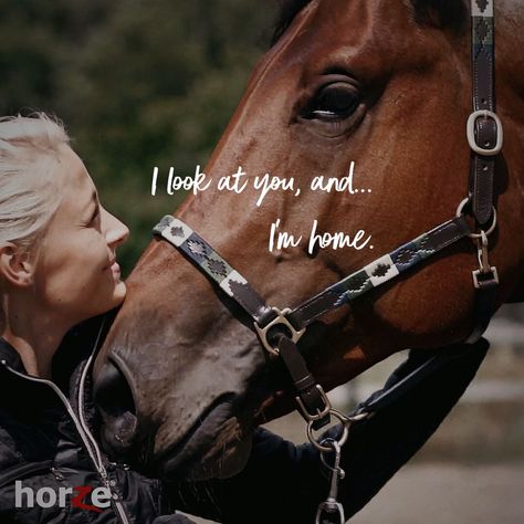 Horse Partnership Quotes, Horse Bond Quotes, Beautiful Horse Quotes, Horse Best Friend Quotes, Quotes About Horses Love, Horses Quotes Inspirational, Heart Horse Quote, Horse Quotes Meaningful, Horse Girl Quotes