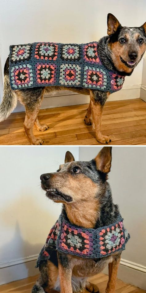 Diy Crochet Dog Sweater, Granny Square Dog Sweater, Granny Square Dog, Dog Jumper Pattern, Big Dog Sweaters, Crochet Dog Sweaters, Crochet For Dogs, Crochet Dog Sweater Free Pattern, Dog Sweater Crochet