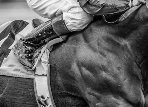 jockey boots. Jockey Aesthetic, Diego Brando, October Aesthetic, Horse Jockey, American Quarter Horse, Horse Aesthetic, Phone Inspiration, Quarter Horse, Pull Up