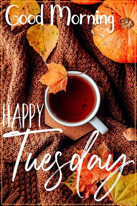 Good Morning Tuesday Wishes, Tuesday Wishes, Day And Night Quotes, Happy Tuesday Morning, Crock Meals, Tuesday Quotes Good Morning, Tuesday Greetings, Hello Tuesday, Bon Mardi