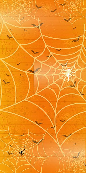 modern halloween cobweb party spider net orange background Orange Halloween Background, Halloween Backrounds, Screen Savers Wallpapers Backgrounds, Spider Net, Fall Stickers, Background Halloween, Halloween Wallpaper Backgrounds, Halloween Background, Modern Halloween