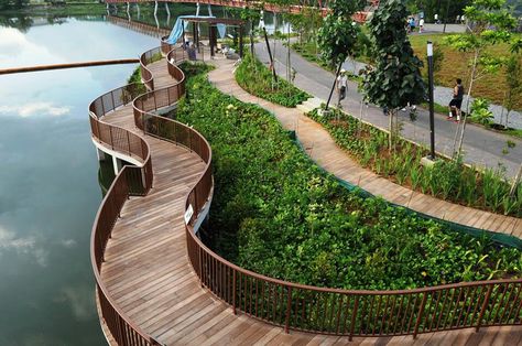 Punggol Waterway Park, Singapore Cricket Field, Corinthian Columns, Mangrove Swamp, Forest Habitat, Mangrove Forest, Riverside Park, Park Trails, Hidden Beach, Up Close And Personal