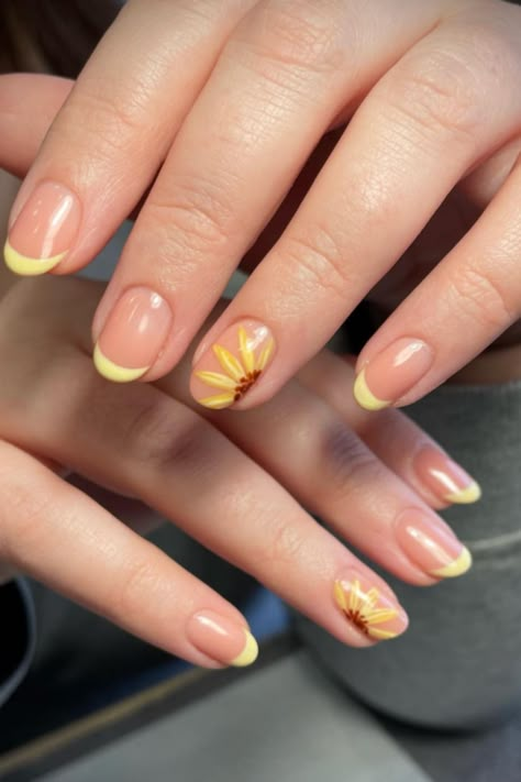 42+ Shine All Summer Long with Stunning Sunflower Nails Nail Inspo Sunflower, Yellow Nails With Sun Design, Sunflower French Nails, Sunflower Nails French Tip, Sun Flowers Nails, Sunflower On Nails, Yellow Nails Sunflower, Simple Sunflower Nails, Sun Nails Design