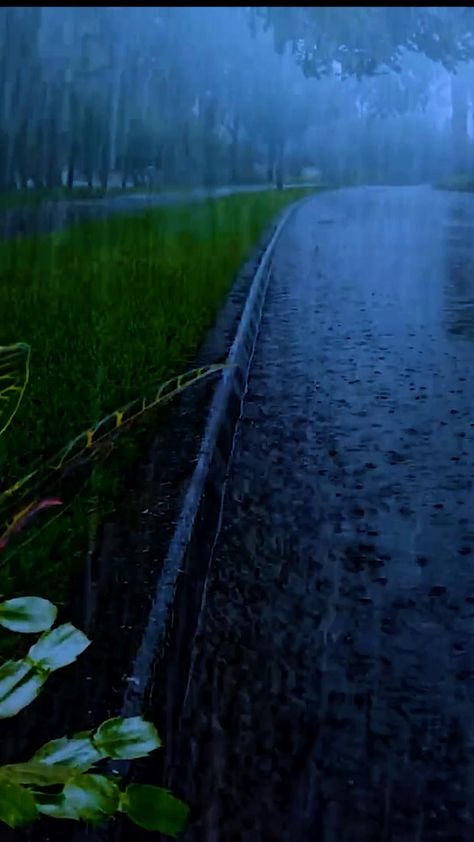 Rain Thunderstorms Video, Heavy Rain Photography, Thunderstorm Video, Rain Animation, Lighting Storm, Rain And Thunder Sounds, Relaxing Rain, Rain And Thunderstorms, Sleep Sounds