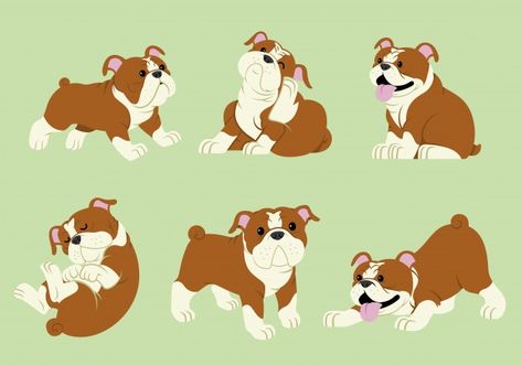 Bulldog cartoon set | Premium Vector #Freepik #vector #family #dog #cartoon #animal Bulldog Drawing, Popeye Cartoon, Pet Food Packaging, Library Logo, Presentation Tips, Drawing Female Body, Character Cartoon, Bulldog Lover, English Bull