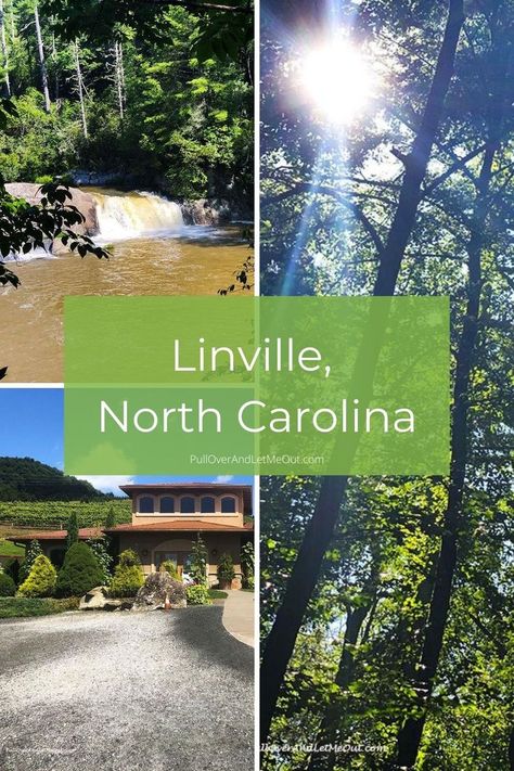 Linville Nc, A Collage Of Pictures, Collage Of Pictures, Nc Waterfalls, Tall Pine Trees, Cabin Trip, Travel Mountains, Mountain Destinations, North Carolina Travel