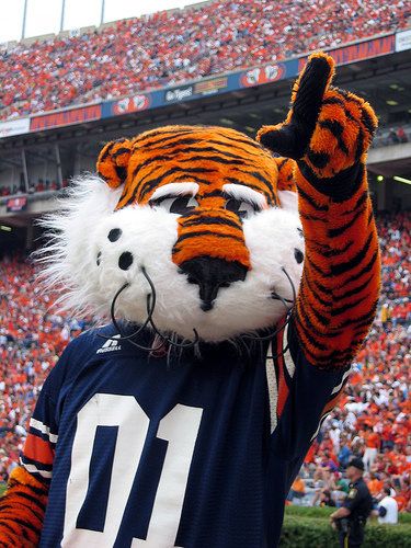 Congrats Aubie! He just won an unprecedented 7th national mascot title!!!! It's great to be an Auburn tiger! Aubie The Tiger, Auburn Ideas, Auburn Tigers Football, Auburn Alabama, Auburn Football, College Essay, Auburn University, Auburn Tigers, A Tiger