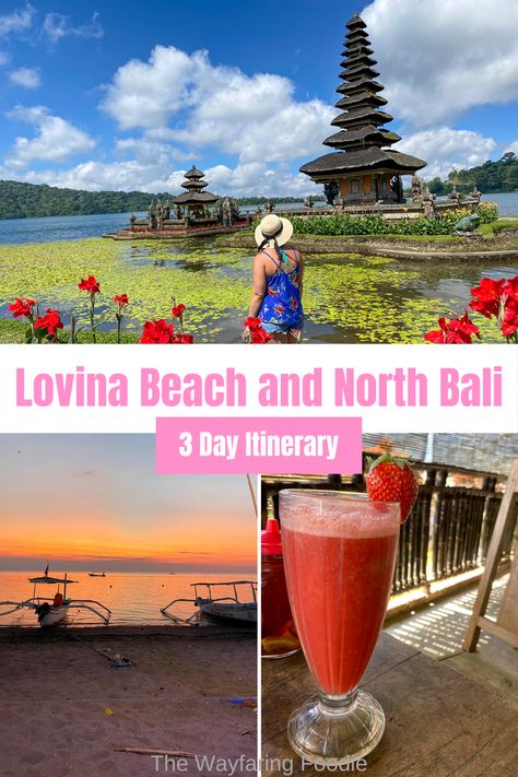 Lovina Beach and north Bali have so much to offer, including temples, waterfalls, rice terraces, and dolphins! If you want to experience Bali to the fullest, this 3-day itinerary for Lovina Beach and north Bali is the perfect addition to your trip! North Bali, Bali Itinerary, Traditional Boats, Gili Island, Rice Terraces, Weekend Escape, Travel Destinations Asia, Romantic Weekend, Beach Getaways