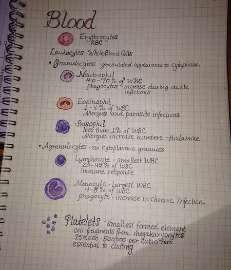 Journal page. Studying for A&P lab test! Lab Test Medical, Phlebotomy Notes, Phlebotomy Study, Medical Laboratory Science Student, Biochemistry Notes, Medical Lab Technician, College Teaching, Lab Humor, Med Lab