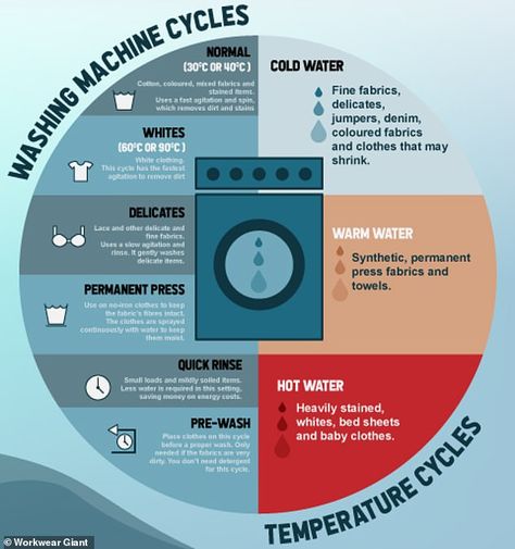 Laundry basics 101: Ultimate guide for washing your clothes without ruining them | Daily Mail Online Laundry Temperature Guide, Washing Machine Tips Clothes, Laundry Temperature Chart, Laundry Infographic, Washing Clothes Tips, Laundry Basics, Laundromat Aesthetic, Clothes Washing Hacks, Yacht Stewardess