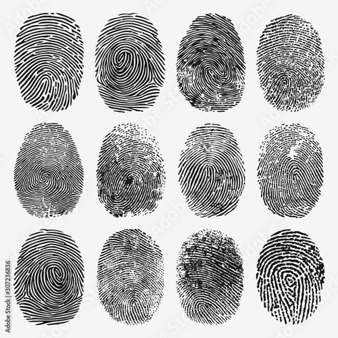 Fingerprint Analysis, Finger Print Art, Fingerprint Artwork, Fingerprint Design, Kino Box, Appropriation Art, Password Security, Thumb Prints, Art Basics