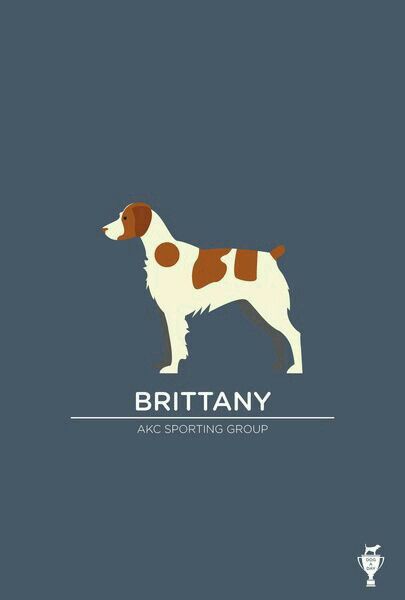 Brittany Spaniel Art, Brittany Spaniel Tattoo, Brittney Spaniel, Brittany Spaniel Dogs, Spaniel Art, Best Dogs For Families, Brittany Spaniel, Group Of Dogs, Bear Dog