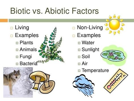 Biotic factors are living and abiotic factors are nonliving. This chart shows examples of both. Factors Worksheet, Biotic And Abiotic Factors, Biotic Factors, Biotic And Abiotic, Abiotic Factors, Family Tree Worksheet, Desert Ecosystem, Permutations And Combinations, Social Studies Worksheets