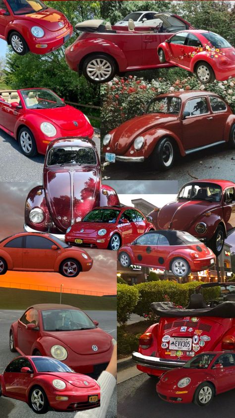 red beetles 🪲 #fypshuffles #fyp #fyppppp #cars #beetlecars #beetles #shufflefyp #collages Red Beetle, Bug Car, Car Deco, Volkswagen Bug, Beetle Car, Beetle Convertible, Girly Car, New Beetle, Car Goals