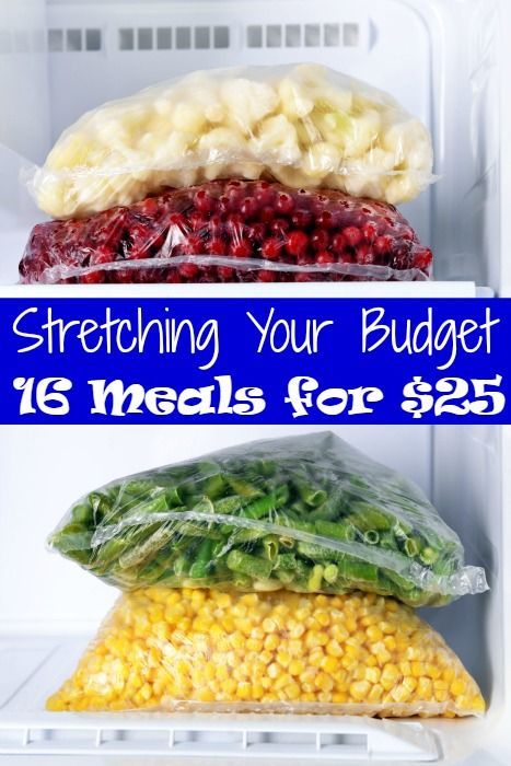 Stretching Your Budget - 16 Meals for $25 - The Frugal Navy Wife Freezer Stockpile, Budget Freezer Meals, Make Ahead Freezer Meals, Freezer Organization, Easy Freezer Meals, Cooking Challenge, Budget Meal Planning, Cooking For A Crowd, Navy Wife