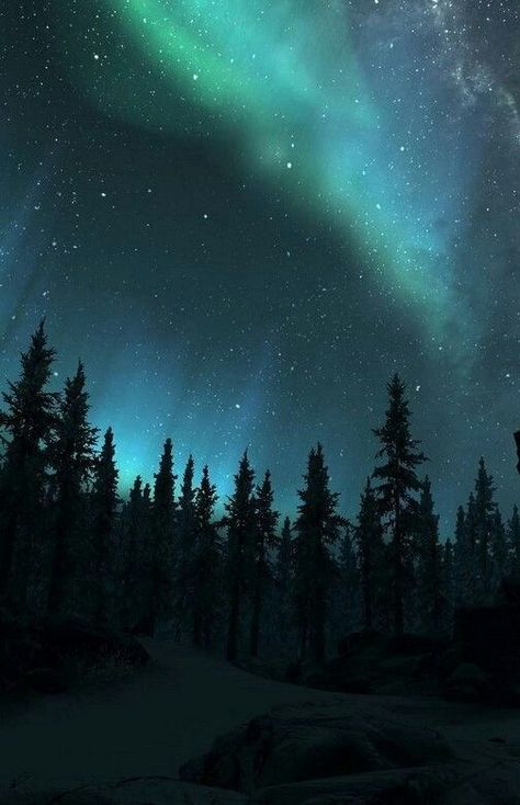 Northern Lights Wallpaper, Lights Painting, Lights Wallpaper, Northern Lights Painting, The Night Sky, Aurora Borealis, Night Sky, Aurora, Northern Lights