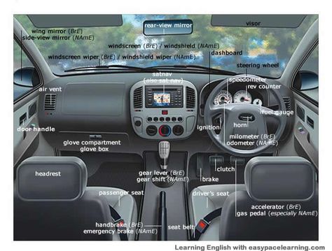 Learning the vocabulary for parts of a car inside Truck Interior Accessories, خريطة ذهنية, Door Weather Stripping, Inside Car, Vocabulary Lessons, Picture Dictionary, Truck Interior, Learn English Vocabulary, Windscreen Wipers