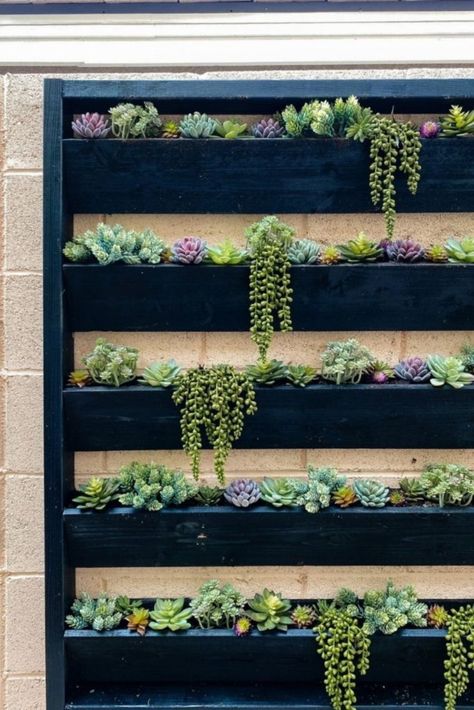 Angela Rose Home, Wall Planters Outdoor, Angela Rose, Apple Hill, Garden Escape, Cinder Block Garden, Planter Wall, Backyard Area, Diy Planter