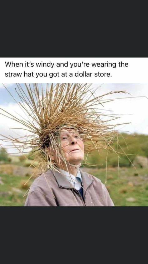 Windy Day Humor, Weather Memes, Old Age Humor, Funny Weather, Fall Humor, Laughter The Best Medicine, Make Em Laugh, Winter Quotes, Windy Weather