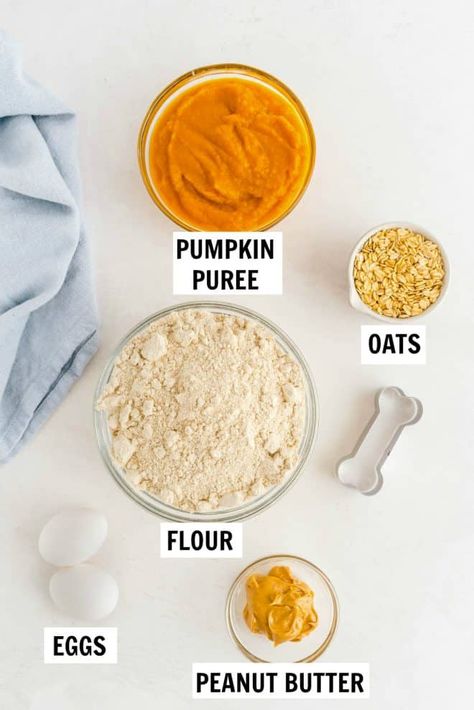 Peanut Butter Pumpkin Dog Treats Peanut Butter Pumpkin Dog Treats, Dog Treats Homemade Pumpkin, Dog Meals, Halloween Dog Treats, Dog Cookie Recipes, Treats For Halloween, Easy Dog Treat Recipes, Ball Recipes, Dog Biscuit Recipes