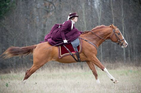 Side Saddle Riding, Riding Habit, Side Saddle, Majestic Horse, Saddle Pad, All The Pretty Horses, Horse Crazy, Equestrian Life, Horse Life