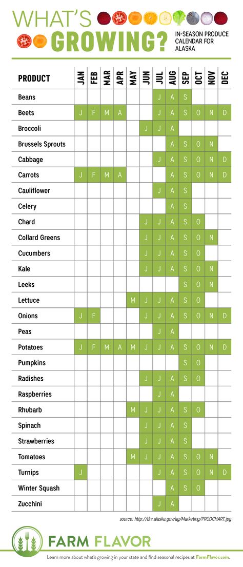 Alaska Living Homesteads, Gardening In Alaska, Homesteading In Alaska, Alaskan Garden, Alaska Gardening, Vegetable Garden Design Layout, Vegetable Garden Layouts, Alaska Garden, Beginner Garden