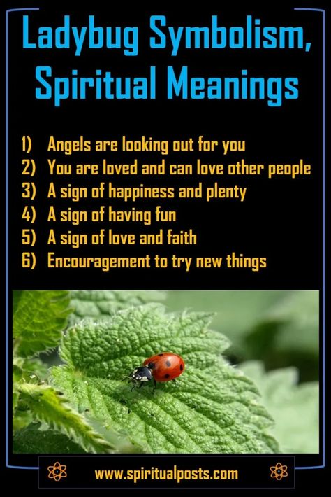 Ladybug Spiritual Meanings: Red, Orange, Brown, Black, White | Spiritual Posts Ladybug Spiritual Meaning, Dragonfly Meaning Spiritual, Ladybug Meaning, Dragonfly Meaning, Spirit Animal Meaning, Animal Meanings, Wiccan Magic, Animal Medicine, A Ladybug