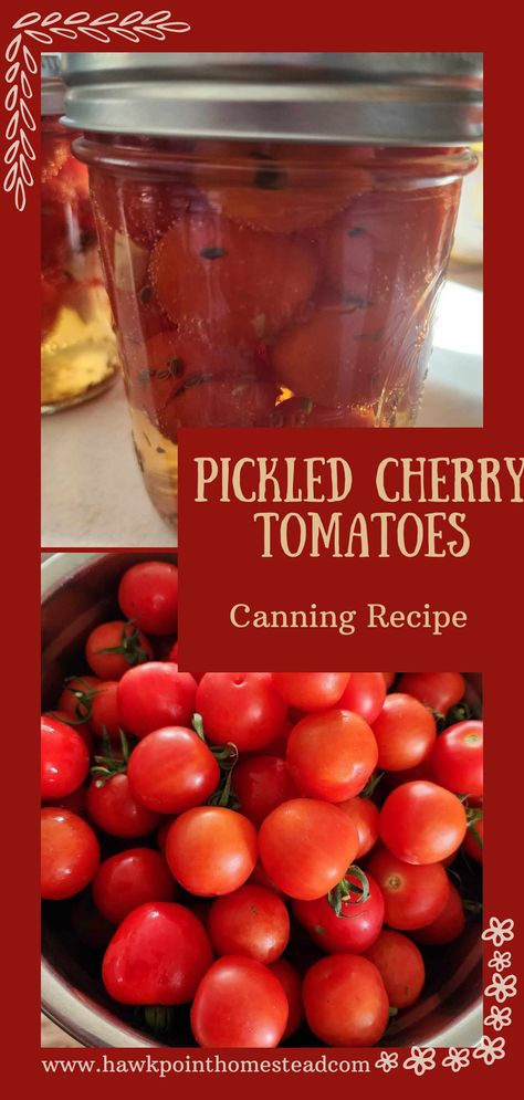 This easy recipe for pickled cherry tomatoes for canning is a great way to preserve those cherry tomatoes that grow in abundance if you even have one cherry tomato plant. Then you can enjoy their fresh flavor during the long winter months. Pickling is a great way to preserve that bumper crop of beautiful cherry tomatoes and have them to add to salad, salad dressings, pasta, or a charcuterie board. Canning Cherry Tomatoes Whole, Pickled Cherry Tomatoes Recipe, Tomatoes For Canning, Pickled Cherry Tomatoes, Freezing Cherry Tomatoes, Fresh Veggie Recipes, Tomato Canning, Canning Cherry Tomatoes, Canning Tomatoes Recipes