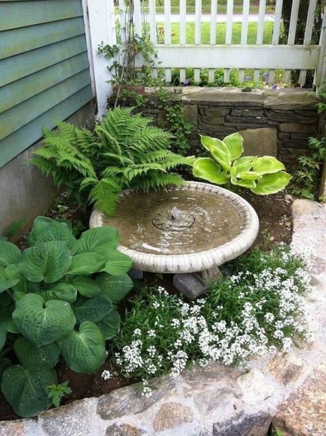 Landscape Gardening, Pathway Landscaping, Small Courtyard Gardens, Small Front Yard Landscaping, Rock Garden Landscaping, Diy Backyard Landscaping, Landscape Designs, Garden Yard Ideas, Front Yard Garden