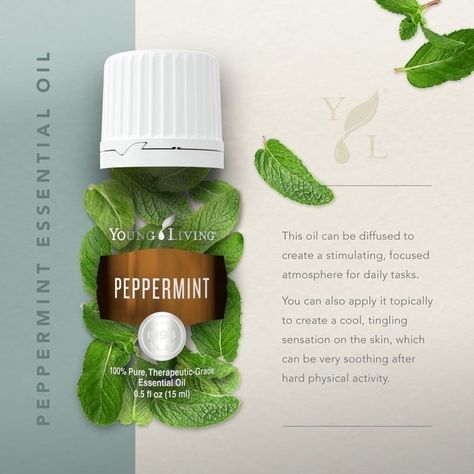 Peppermint Essential Oil Young Living, Peppermint Essential Oil Uses, Essential Oils For Cleaning, Peppermint Oil Benefits, Peppermint Tea Benefits, Young Living Peppermint, Chemical Free Makeup, Copaiba Essential Oil, Chemical Free Cleaning