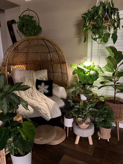 Practical Home Decor, Zen Room, Deco Studio, Salon Suites, House Plants Decor, Room With Plants, Product Recommendations, Dream Room Inspiration, Where To Shop