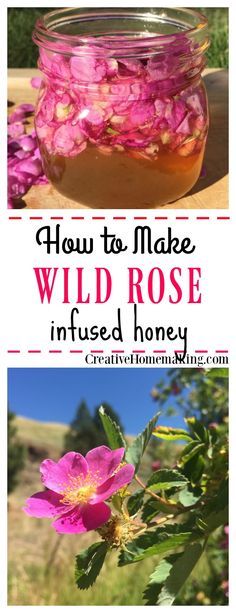 If you have an abundance of wild roses, try this easy wild rose infused honey recipe. Lightly flavored and scented, this gourmet honey makes a great gift idea for family and friends! Infusing Honey, Fruit Party Ideas, Honey Ideas, Infused Honey, Fruit Party, Honey Syrup, Honey Recipes, Fruit Tart, Wild Food