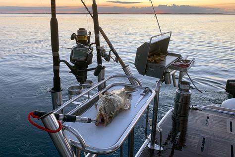 It's easy to set up your own little piece of heaven on the back of your boat with our marine BBQ mounts. Australian made and designed so you can custom build to suit your needs our range of mounts allow you to set up however you like, no matter the size or type of your boat. This set up includes: - Deluxe Gas Portable BBQ - Removable Pins for Duckboard Rails - BBQ Utensil Tray - Stainless Steel Gas Bottle - Gas Bottle Holder with Clamps - Tubular Bait Board with Rod and Drink Holders Boat Bbq, Hull Boat, Utensil Tray, Portable Bbq, Bbq Accessories, Bottle Holder, Custom Build, The Back, Boats