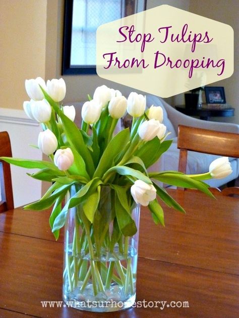 Tulpen Arrangements, Tulips Arrangement, Diy Arrangements, Tulips In Vase, Backyard Entertaining, Tulip Bouquet, White Tulips, Deco Floral, Arte Floral