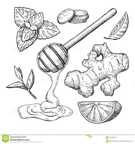 Honey, ginger, lemon and mint vector drawing. Jar, wooden spoon,. Honey, ginger, #Sponsored , #lemon, #mint, #wooden, #Honey, #ginger Honey Illustration, Digital Stamps Free, Lemon Drawing, Lemon And Mint, Honey Ginger, Doodle Inspiration, Engraving Illustration, Hand Drawn Vector Illustrations, Vector Sketch