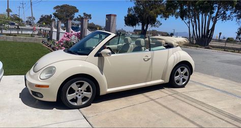 Cream Bug Car, Slug Bug Convertible, Slug Bug Car, Convertible Bug, Convertible Beetle, Volkswagen Convertible, Slug Bug, Volkswagen Beetle Convertible, Bug Car