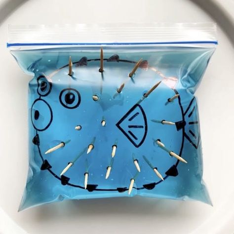 Toothpick Puffer Fish Fish Sensory Play, Fish Science Preschool, Steam Activities Elementary, Pout Pout Fish, Activities Elementary, Fish Activities, Science Camp, Kid Experiments, Gross Motor Activities