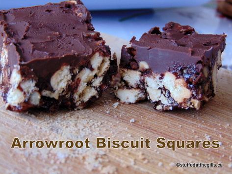 Arrowroot Biscuit Squares Arrowroot Recipes, Arrowroot Cookies, Arrowroot Biscuits, Broken Biscuits, Arrow Root, Easy No Bake Cookies, Dessert Squares, Square Recipes, Dessert Bar Recipe