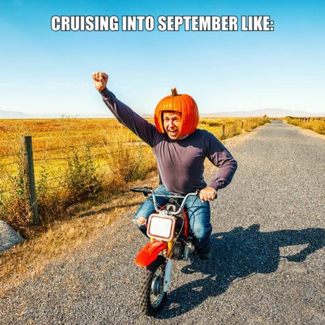 Whoop whoop! It's officially autumn start. Happy September, folks! 🎃🍂 October Memes, Fall Weekend Getaway, Cheap Halloween Decorations, Fall Memes, Autumn Instagram, Halloween Memes, Happy September, Whoop Whoop, Party Rock