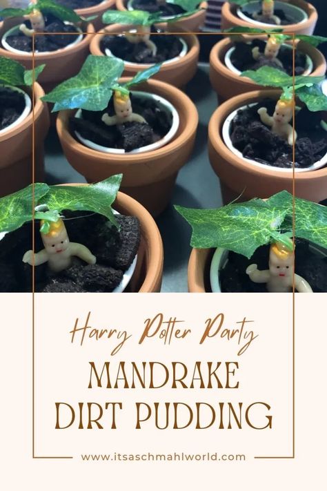 Harry Potter Party: Mandrake Dirt Pudding Sorting Ceremony – It's a Schmahl World Mandrake Dessert Cups, Harry Potter Mandrake Food, Harry Potter Chamber Of Secrets Party Food, Mandrake Dessert, Mandrake Brownies, Diy Mandrake, Tiny Plastic Babies, Harry Potter Mandrake, Harry Potter Party Games