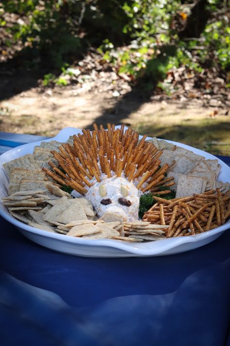 Woodland Animal Cheese Balls, Hedgehog Cheese Ball Woodland Party, Stump Seats, First Birthday Camping, Baby Dedication Cake, Woodsy Baby Showers, Hedgehog Party, Chick Fil A Nuggets, Woodland Party Decorations