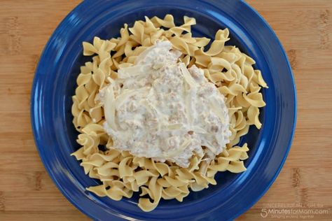 5 Ingredient Ground Beef Stroganoff Ground Beef Stroganoff Recipe, Quick Meals To Make, Budget Dinner Recipes, Sweet Potato Patties, Beef Stroganoff Recipe, Juicy Burgers, Ground Beef Stroganoff, The Slow Roasted Italian, Sweet Potato Curry